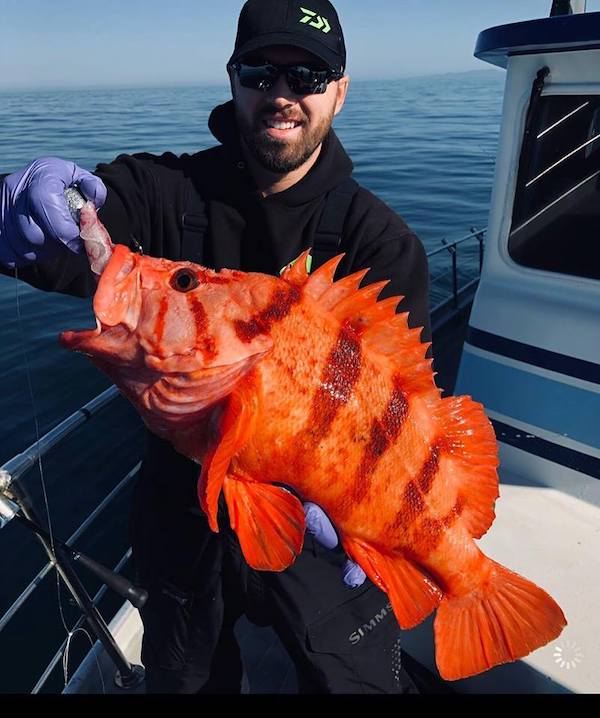 22 Anglers With Limits on Rockfish 