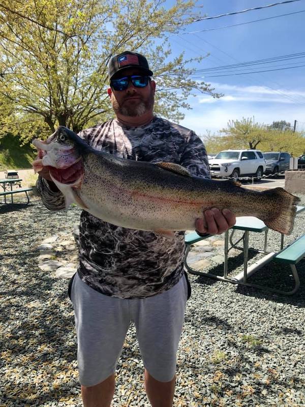 Lake Amador Fish Report - Ione, CA (Amador County)