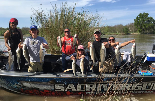 Sacramento River Stripers