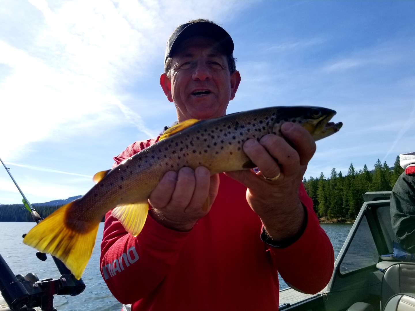 Brown and Rainbow  Spring day