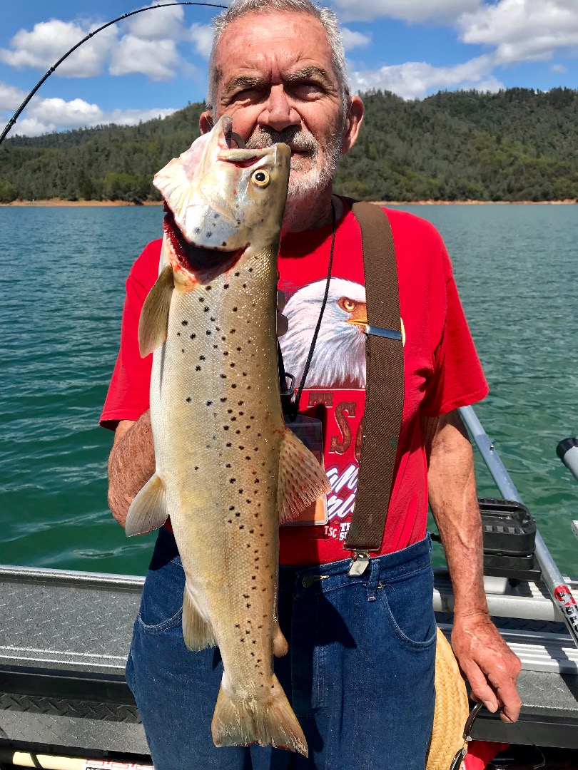 Shasta Lake , fun in the sun!