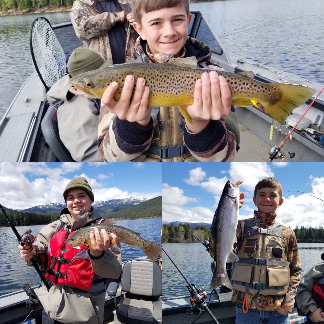 Lake Siskiyou Browns and Rainbows 