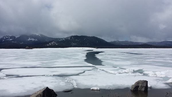 Davis Lake Update