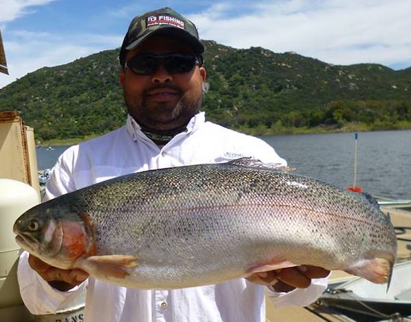 Lake Wohlford catfish record broken while trout anglers count down