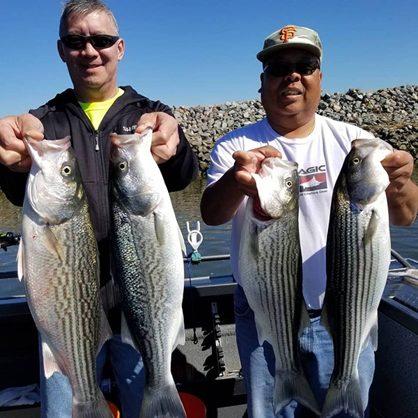 Stripers are Biting!