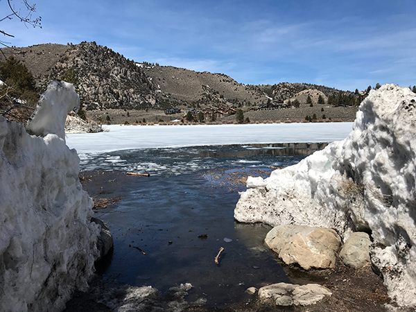 Gull Lake Fish Report - June Lake, CA (Mono County)