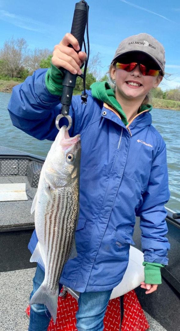 Striper Fishing Update from Kevin Brock