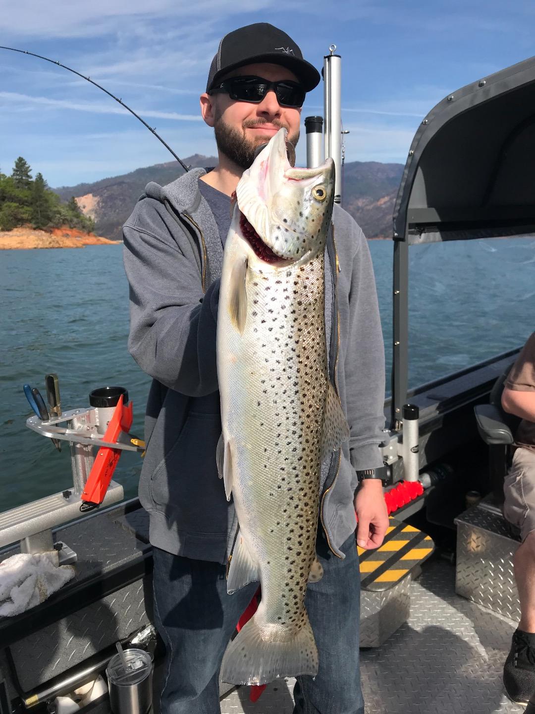 Bruiser brown bite on Shasta Lake!