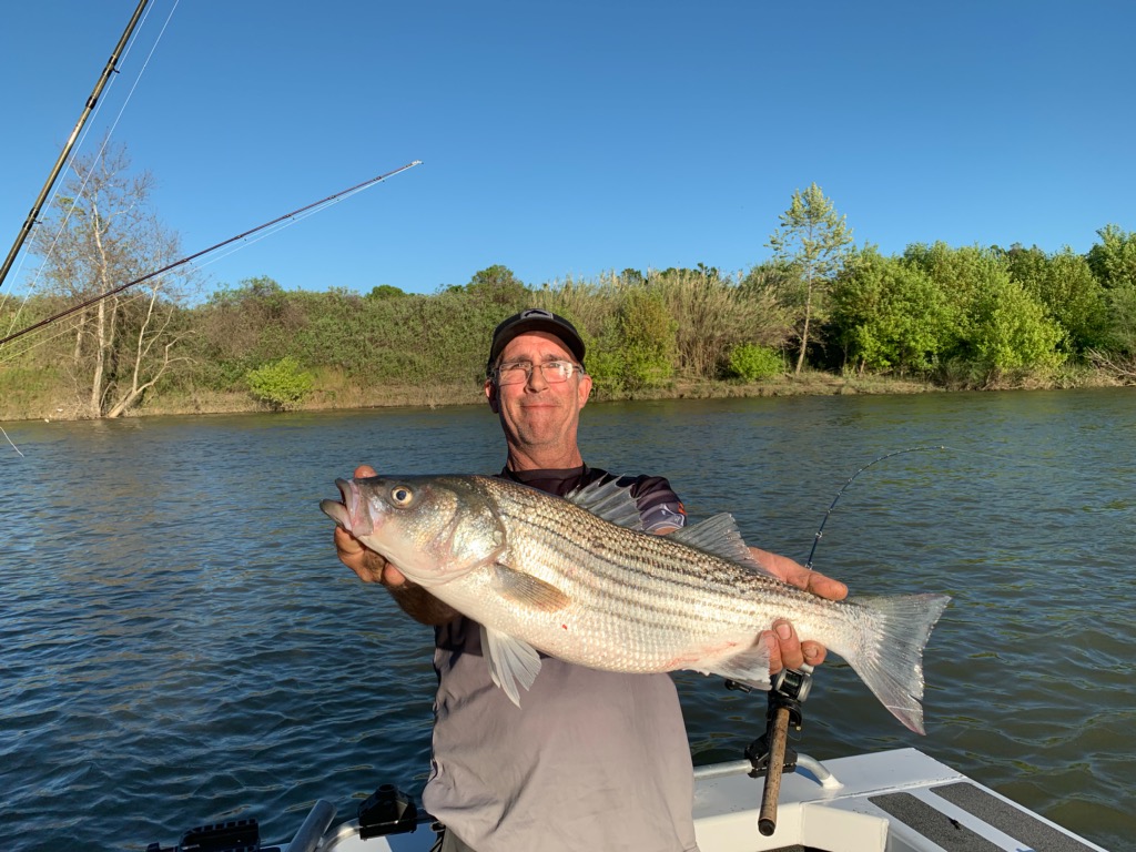 It’s striper time!