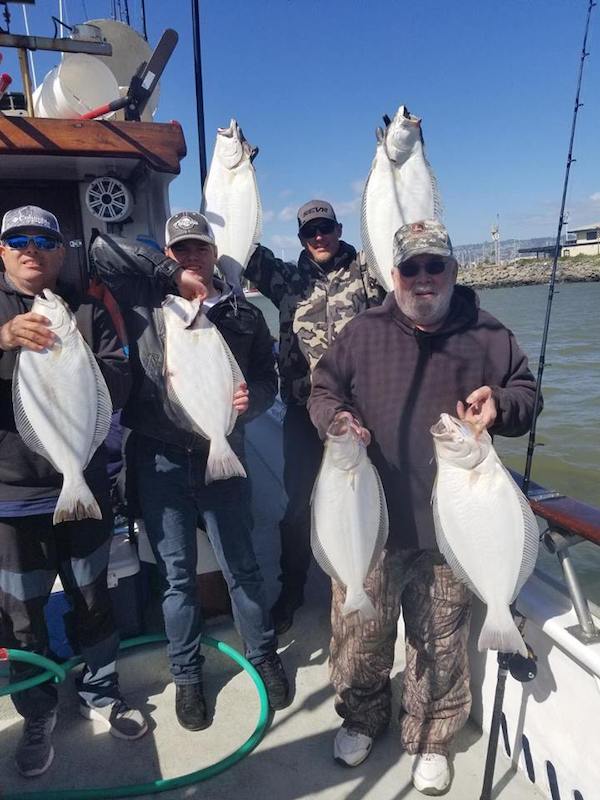 14 Halibut Up to 14 Pounds