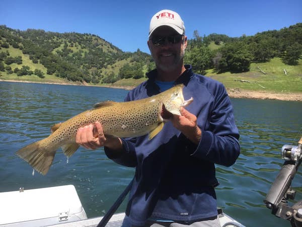 Trout At New Melones