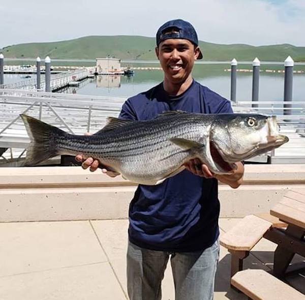 Los Vaqueros Reservoir Fish Report - Los Vaqueros Reservoir - 15.9