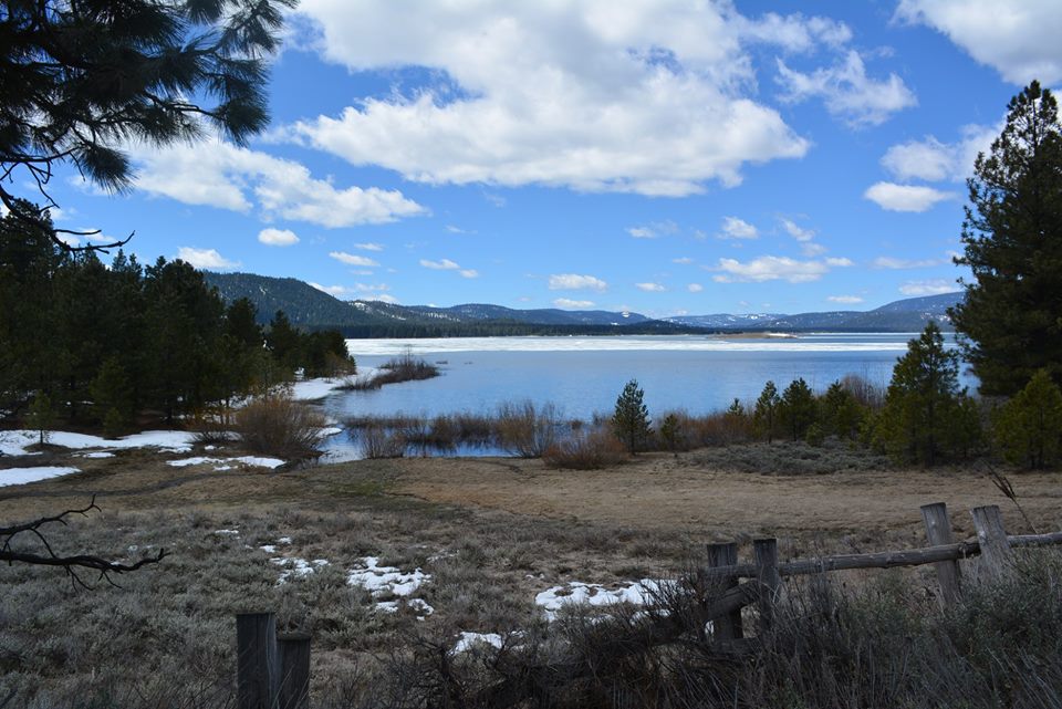 Davis Lake Fish Report Portola, CA (Plumas County)