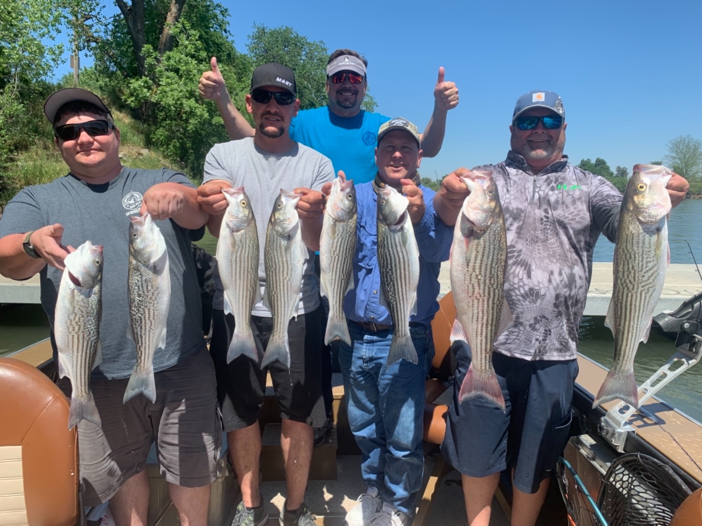 Striped bass On the bite!