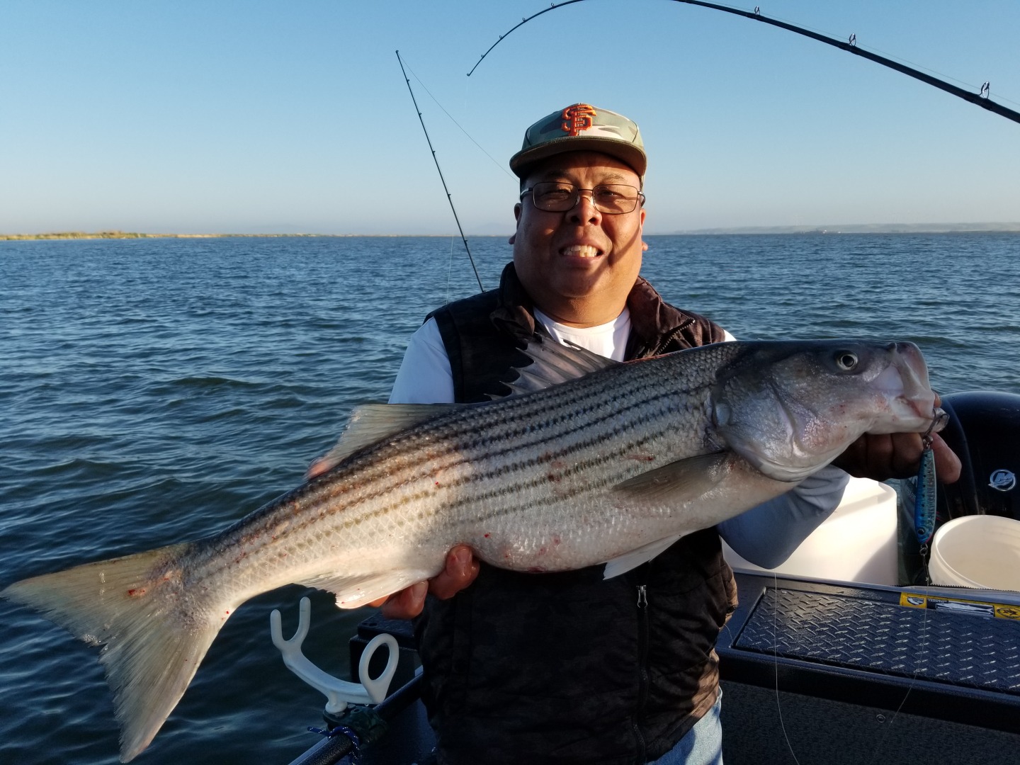 Stripers and more stripers!
