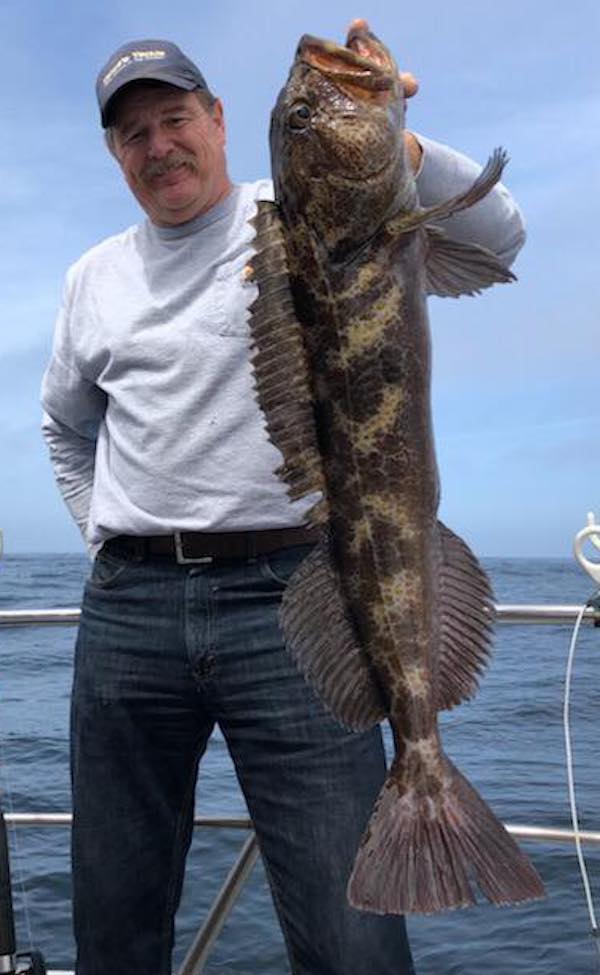 30 Lingcod Up to 22 Pounds