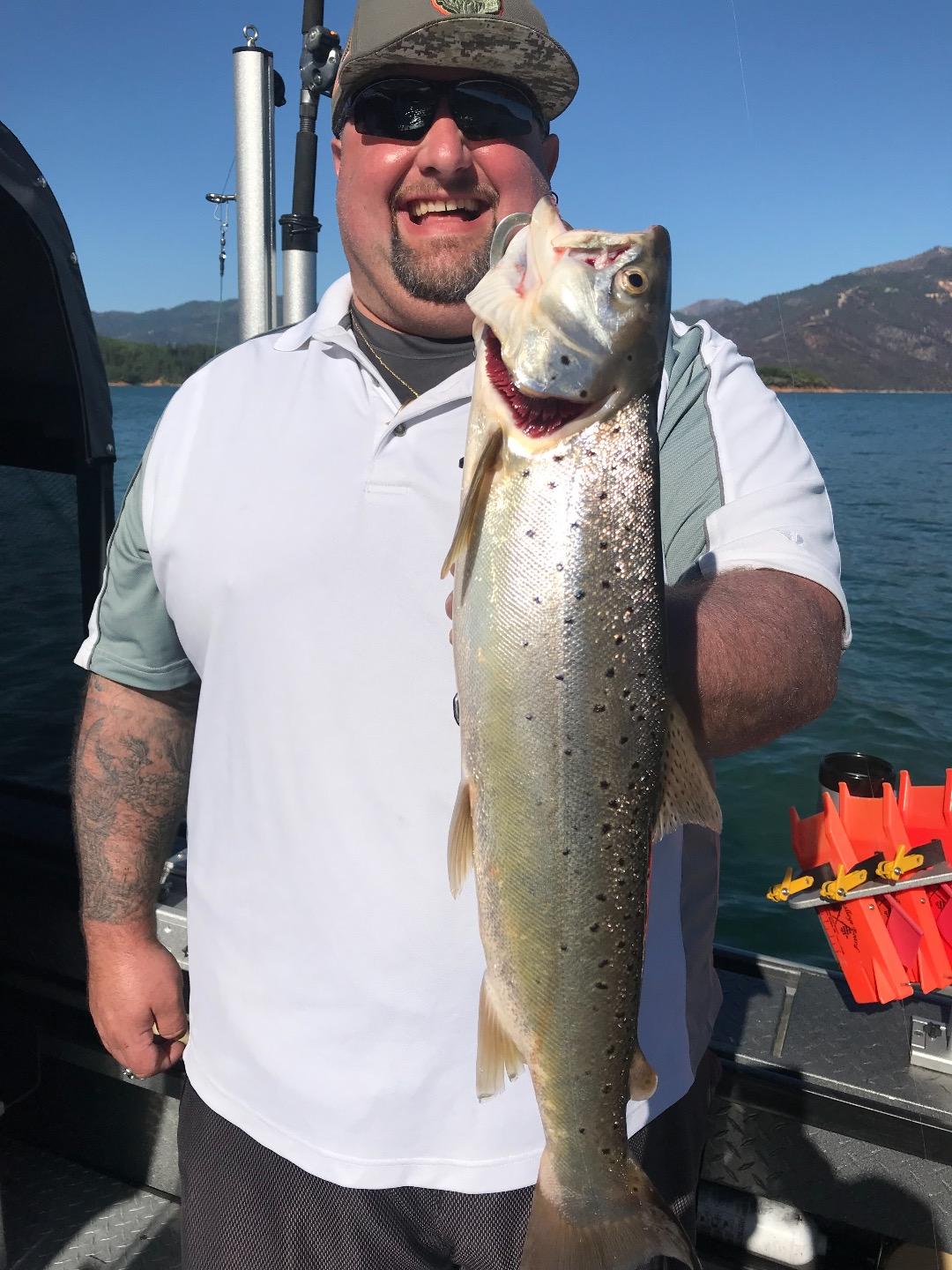 Shasta trout bite cools off