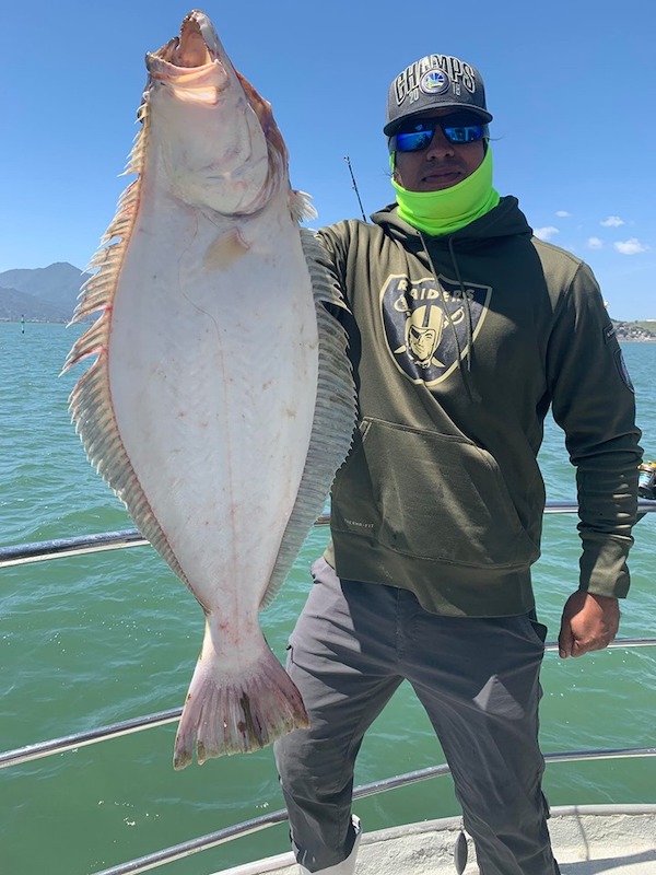 Halibut Up to 20 Pounds