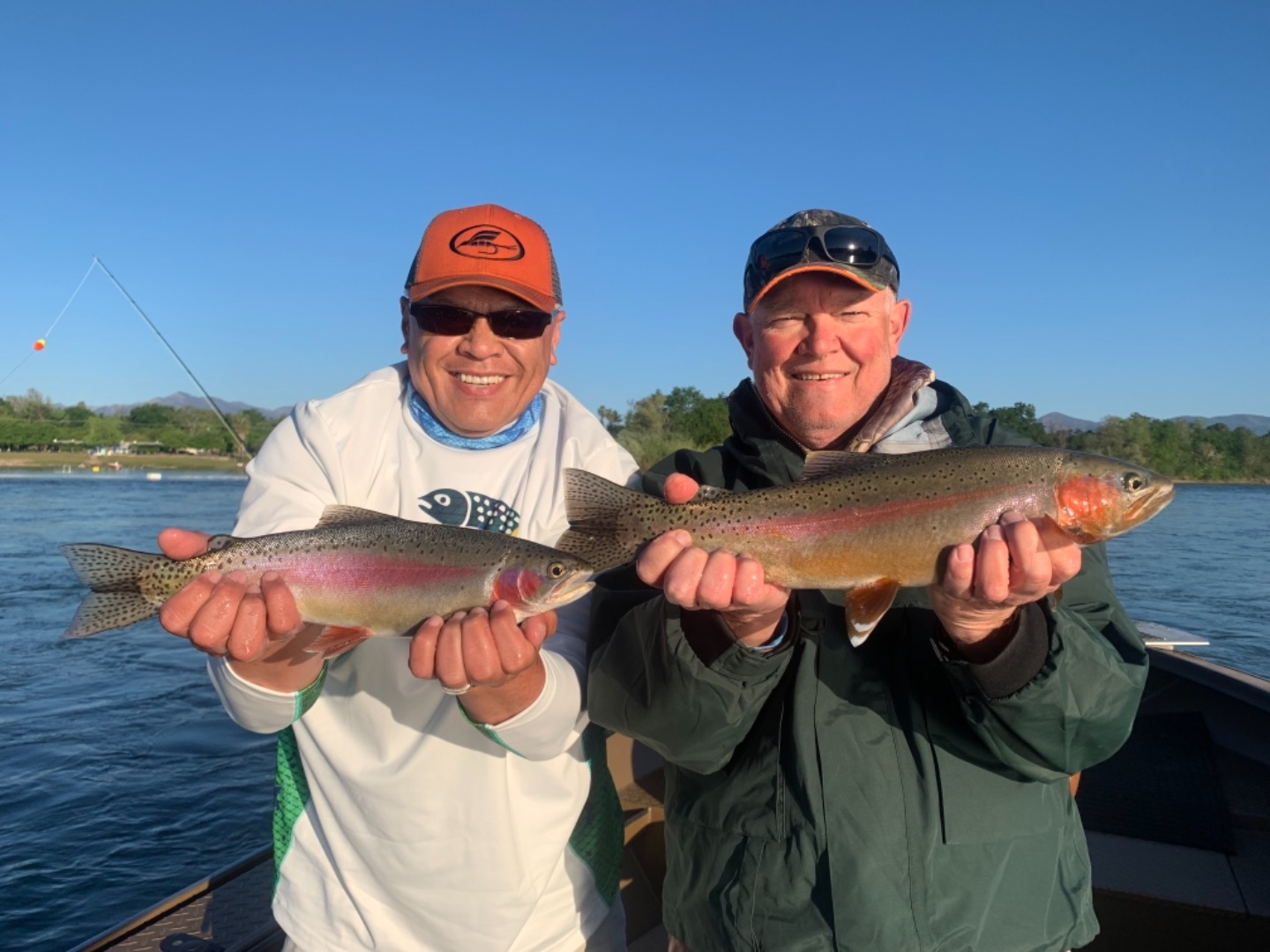 Day 2 outstanding trout fishing on the Sacramento River 