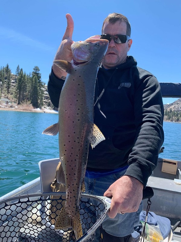 June Lake Loop June Lake, CA Fish Reports & Map