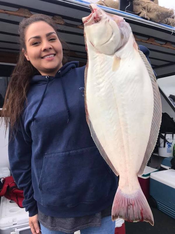Halibut up to 14 Pounds
