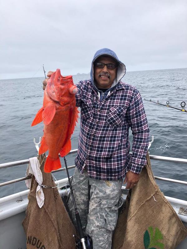 Sea Wolf at Farallon Island 