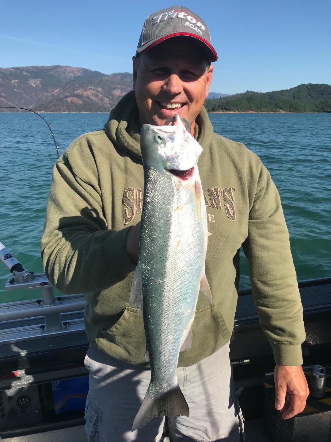Shasta lake trout bite building!