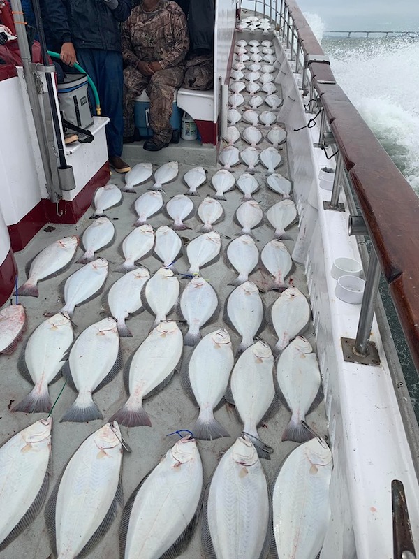 Epic Halibut Day 