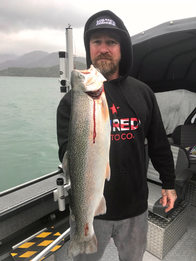 Shasta Lake Fish Report - Shasta Lake - Shasta Lake trout hunker down! -  May 17, 2019