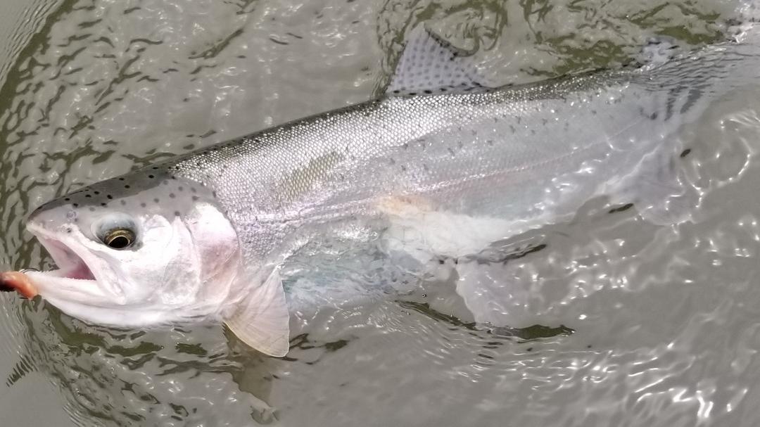 Klamath river back online