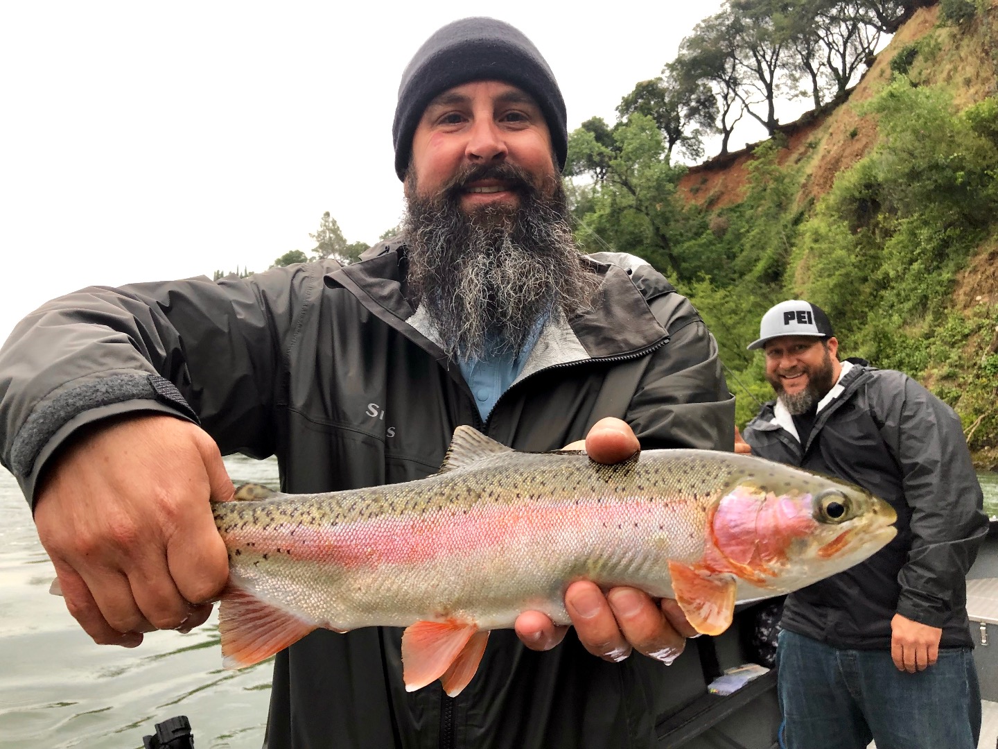 Sacramento River trout trips!