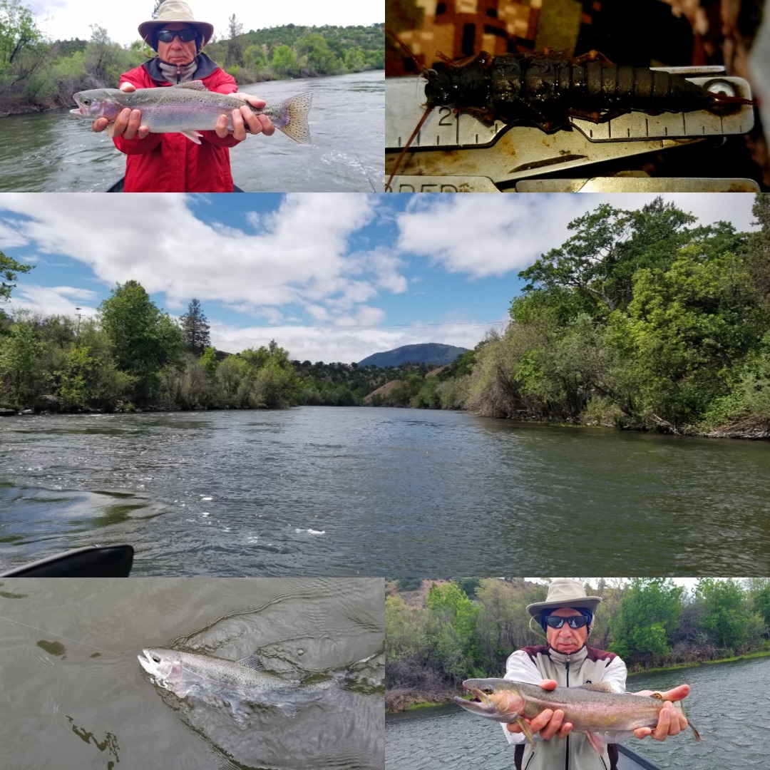 Klamath on the StoneFly