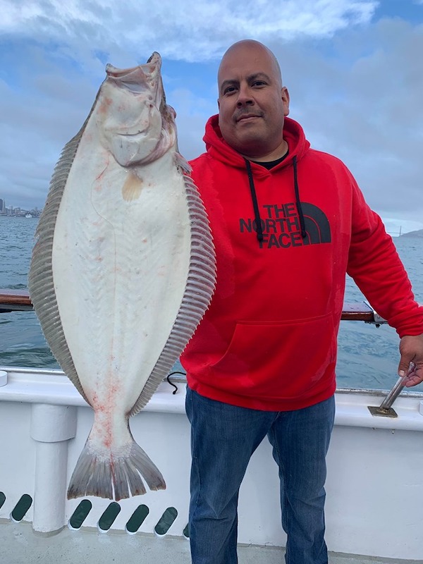 Halibut Up to 26 Pounds