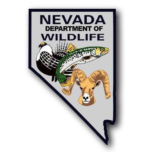 Kirch Wildlife Management Area Fish Report - Preston, NV (Nye County)