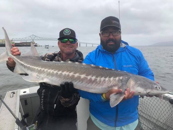 Columbia River - Sturgeon Fishing Has Been Good - May 23, 2019