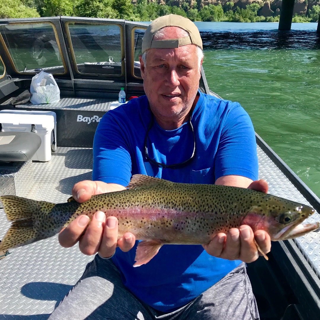 Shasta Lake and Sacramento River trout!