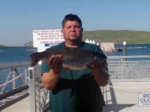 Los Vaqueros Reservoir Fish Report Livermore Ca Contra Costa County