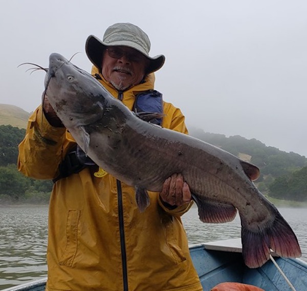 29 Lb. Catfish at San Pablo 