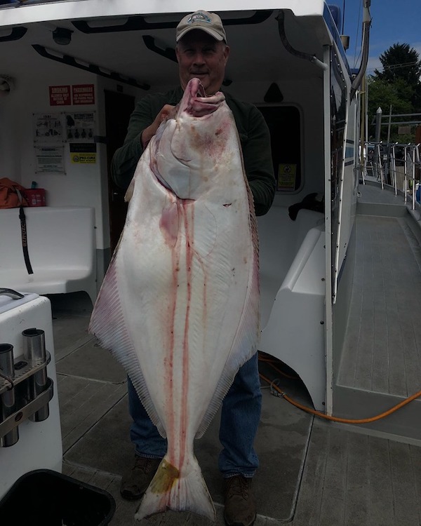 Halibut Limits Three Days Staright