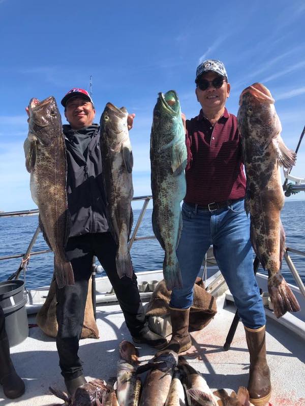 Limits of Lingcod and Rockfish