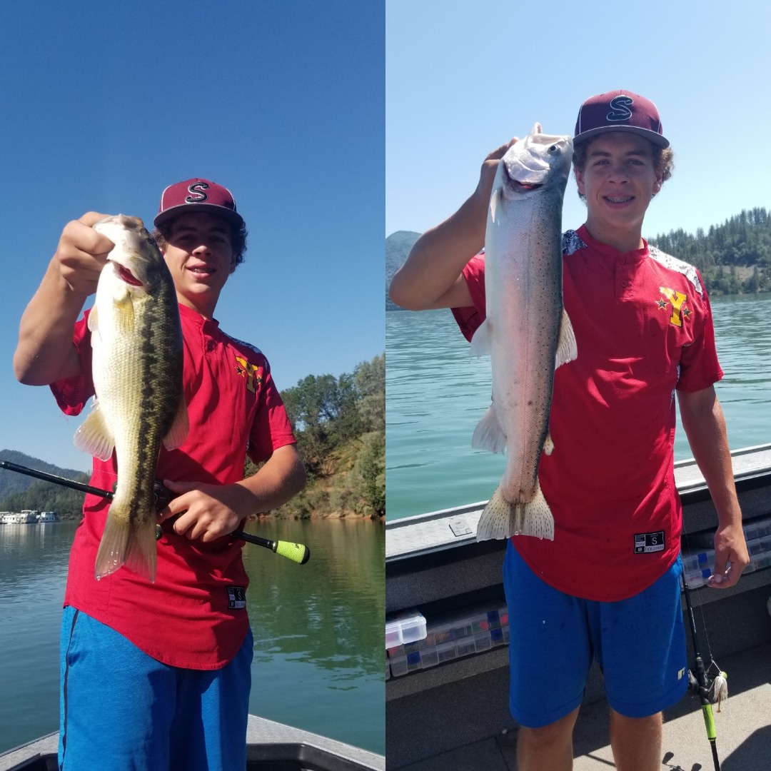 Shasta Lake Summer Bass and Bow's