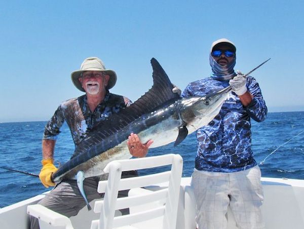 Fishing for striped marlins in Cabo San Lucas with captain Julio