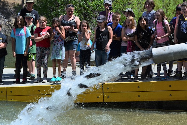 4,000 Lbs. Fish Stocked at Davis Lake 