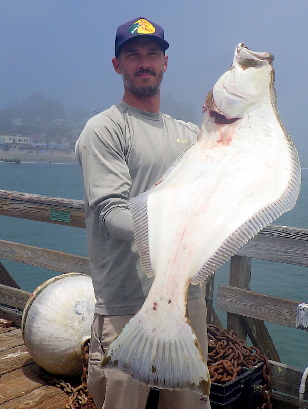 Santa Cruz Fish Report Saltwater Report Let s Go Fishing