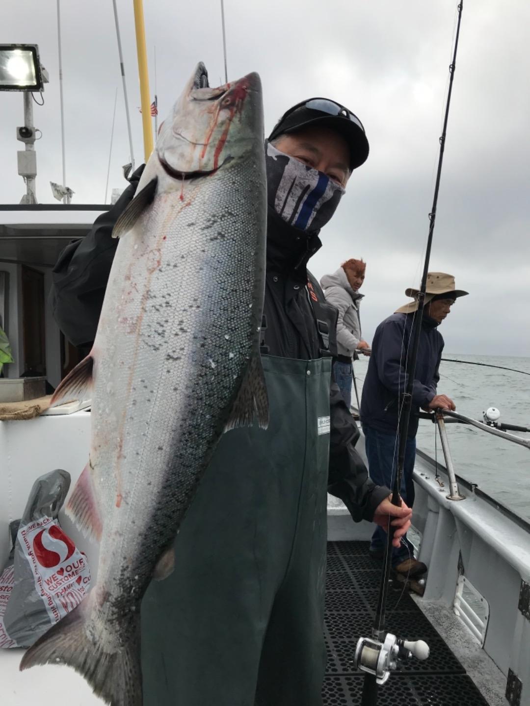 TigerFish Offshore Salmon