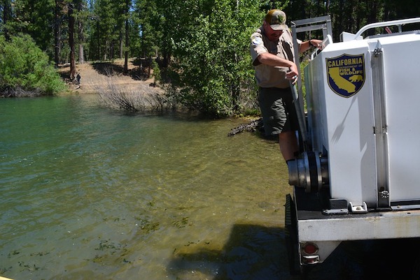 Another 4,000 Lbs. Stocked Today!