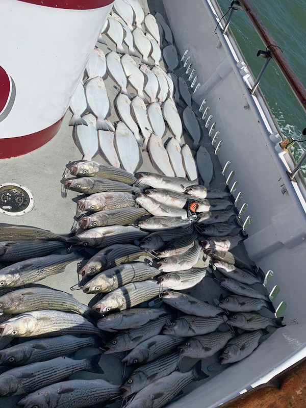 California Dawn Fishing Report