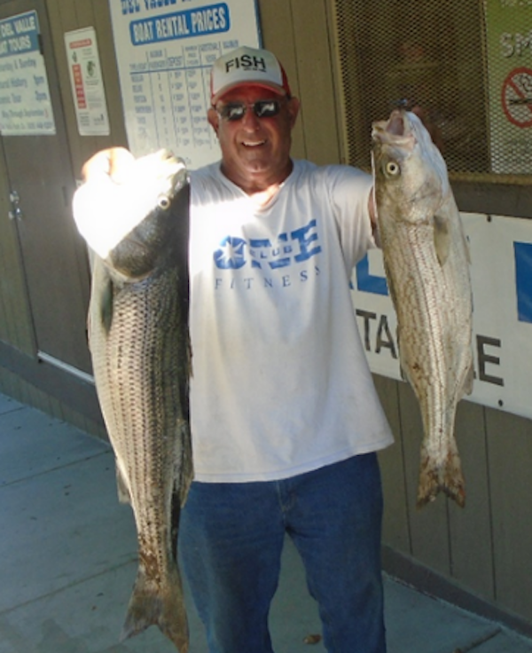 Striped Bass Bite is Coming Back