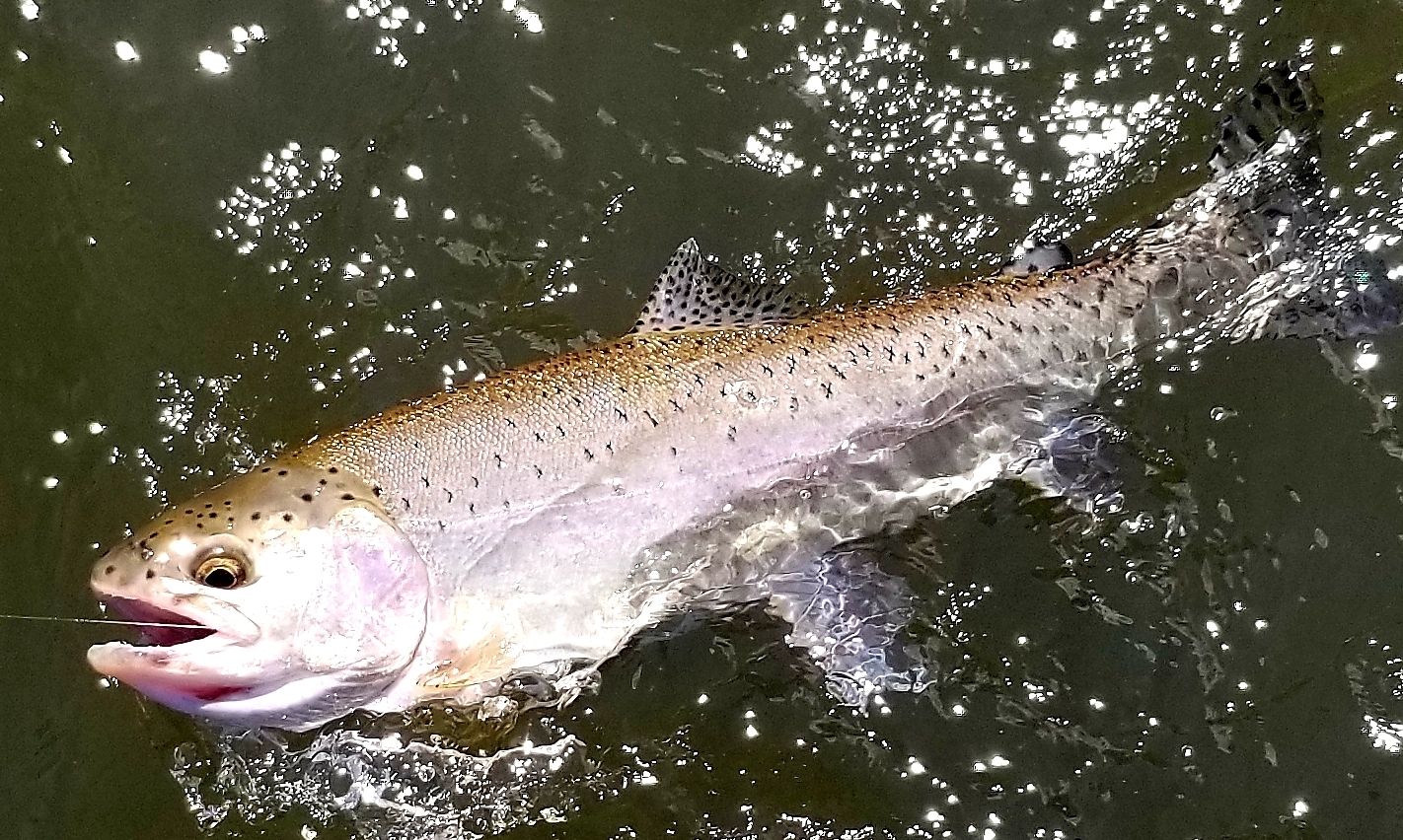 Beauty on the Klamath River