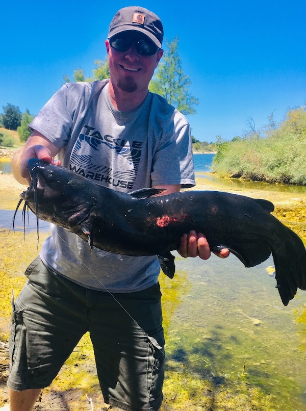 Catfish Are Biting